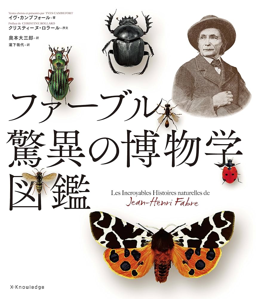 【中古】 日本のファーブルたち 昆虫を友として/講談社/長谷川洋 中古】 日本のファーブルたち 昆虫を友として/講談社/長谷川洋